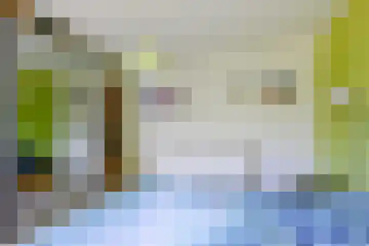 van Teylingenlaan 22 Heerhugowaard thumbnail 17