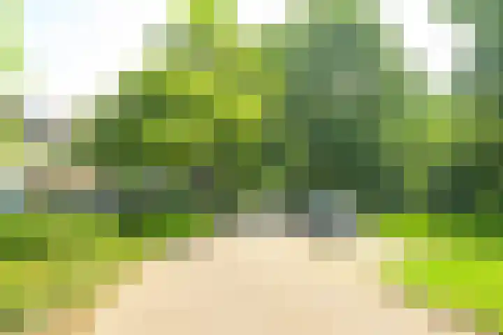 van Teylingenlaan 22 Heerhugowaard thumbnail 31