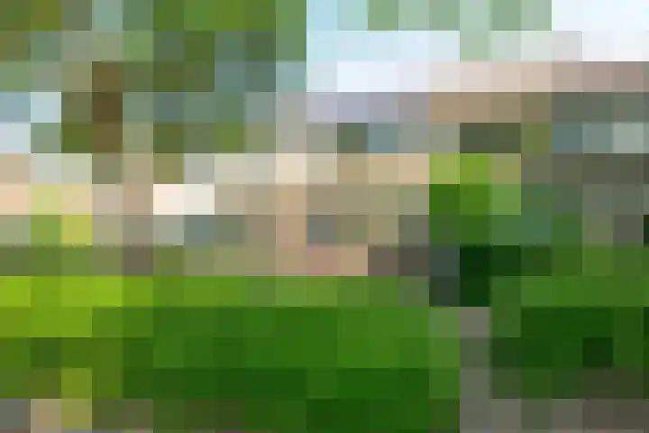 van Teylingenlaan 22 Heerhugowaard thumbnail 32