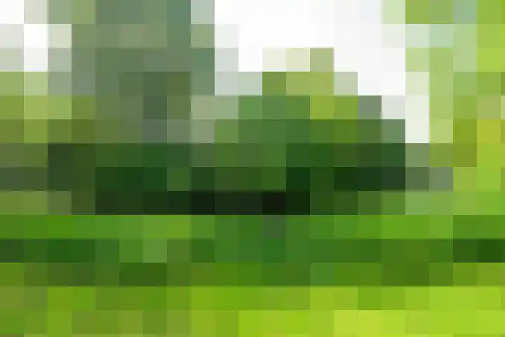 van Teylingenlaan 22 Heerhugowaard thumbnail 34