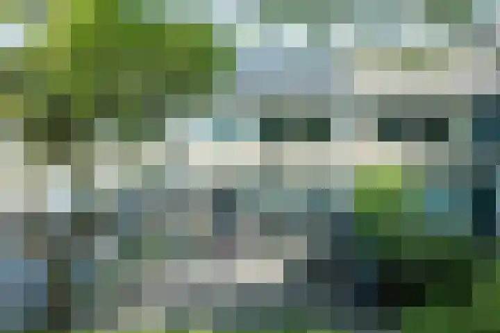 van Teylingenlaan 22 Heerhugowaard thumbnail 36