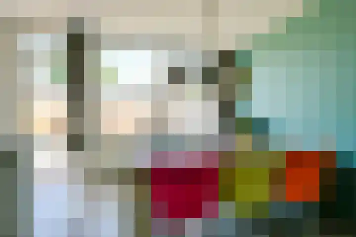 van Teylingenlaan 22 Heerhugowaard thumbnail 6