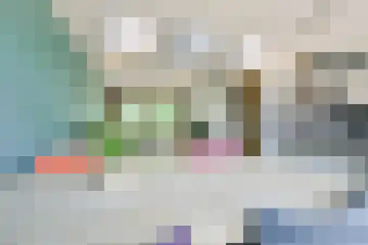 van Teylingenlaan 22 Heerhugowaard thumbnail 9