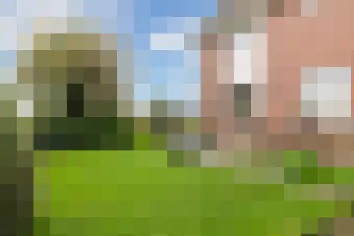 Van Teylingenweg 127 Kamerik thumbnail 16