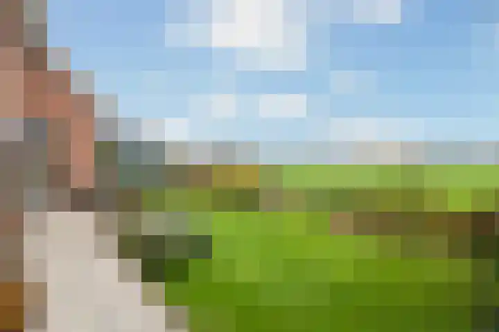 Van Teylingenweg 127 Kamerik thumbnail 17