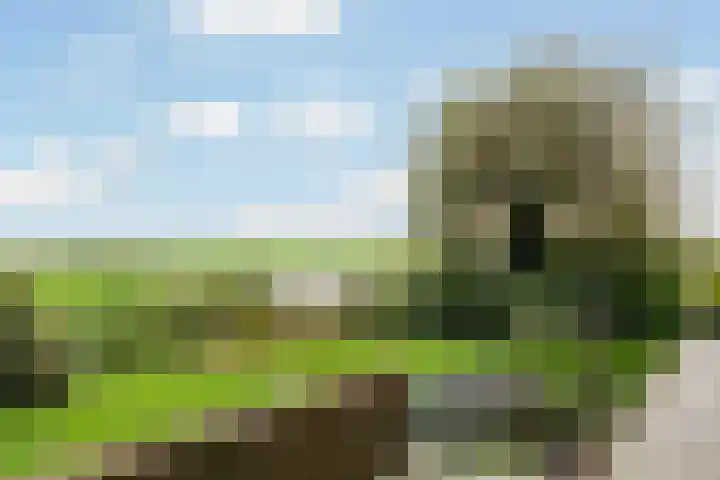 Van Teylingenweg 127 Kamerik thumbnail 18