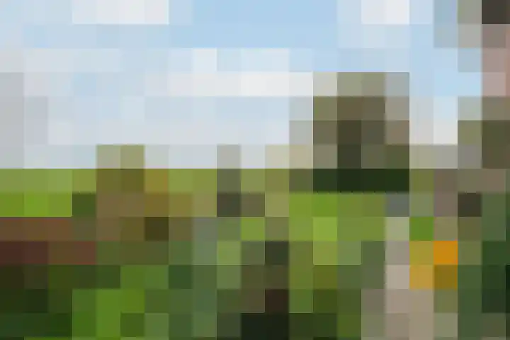 Van Teylingenweg 127 Kamerik thumbnail 20
