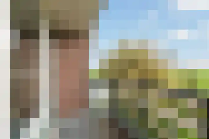 Van Teylingenweg 127 Kamerik thumbnail 32