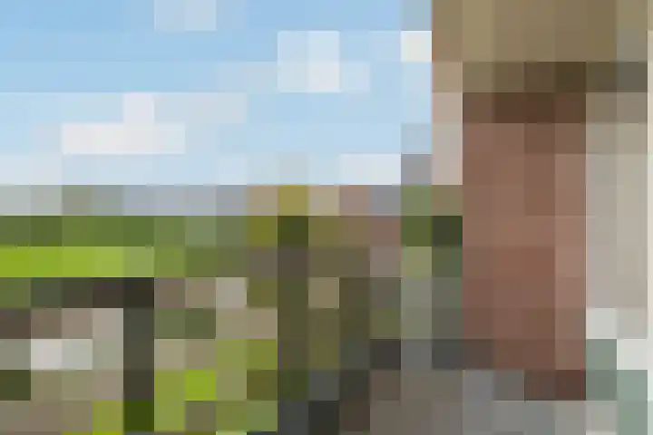 Van Teylingenweg 127 Kamerik thumbnail 33