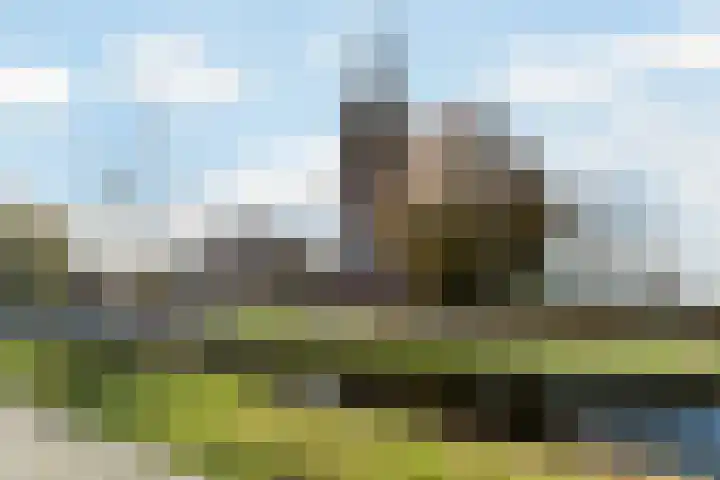 Van Teylingenweg 127 Kamerik thumbnail 44