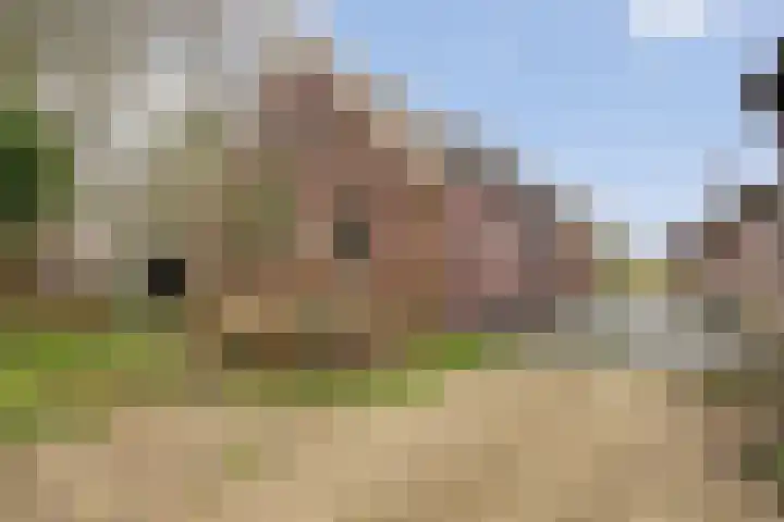 Van Teylingenweg 143 Kamerik thumbnail 44