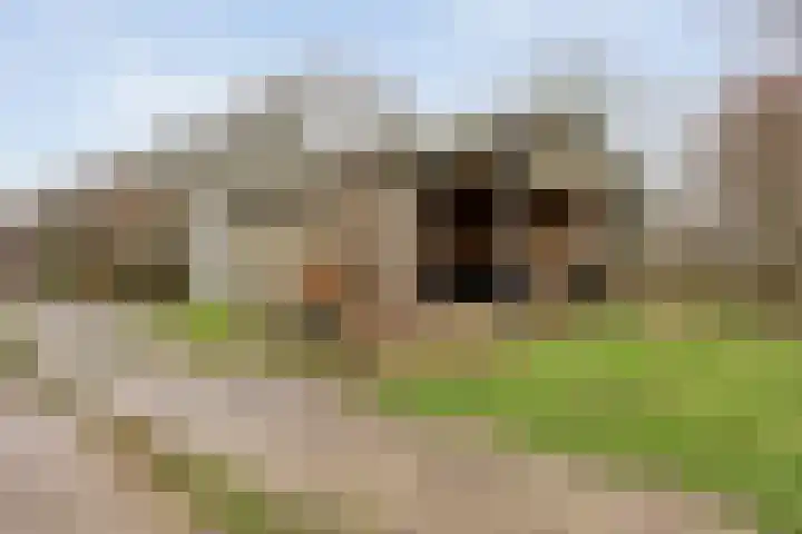 Van Teylingenweg 143 Kamerik thumbnail 45
