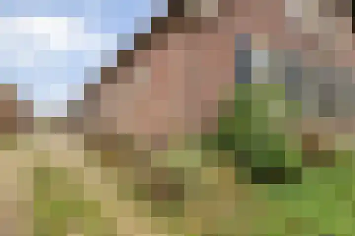 Van Teylingenweg 143 Kamerik thumbnail 54