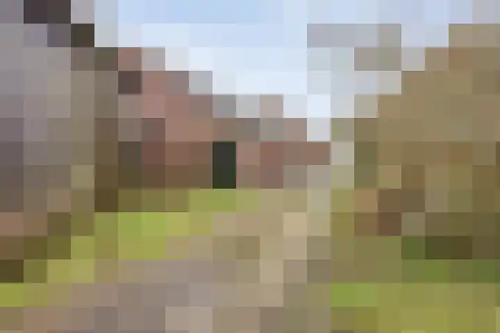 Van Teylingenweg 143 Kamerik thumbnail 58