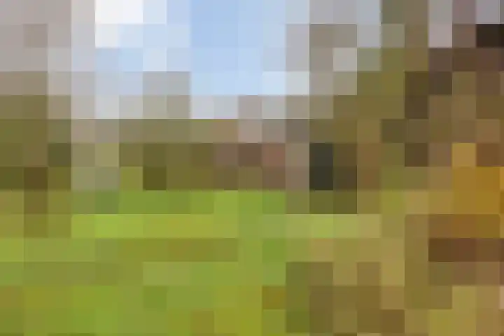 Van Teylingenweg 143 Kamerik thumbnail 60