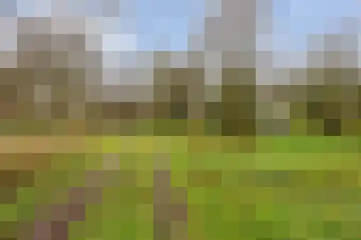 Van Teylingenweg 143 Kamerik thumbnail 61