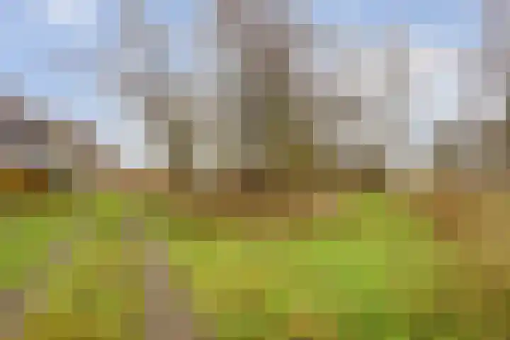 Van Teylingenweg 143 Kamerik thumbnail 62