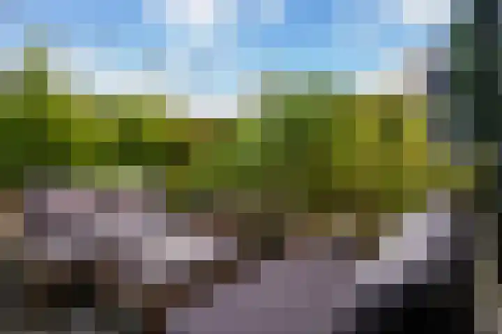 Van Teylingenweg 44 Kamerik thumbnail 20