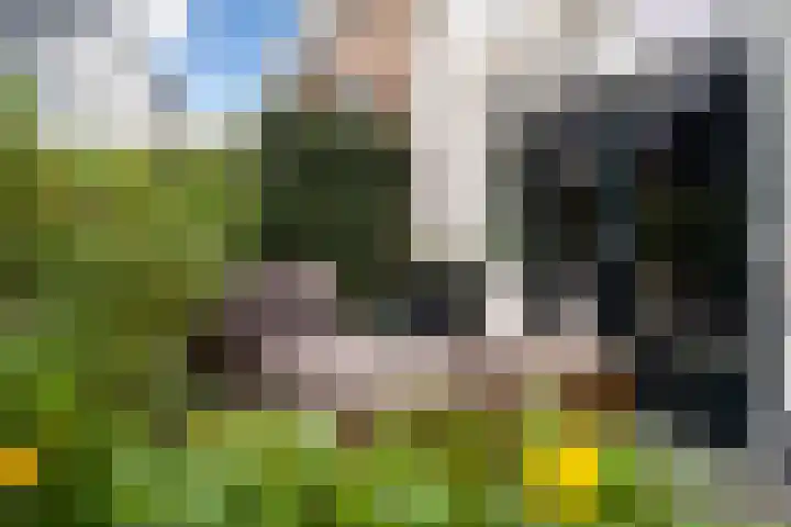 Van Teylingenweg 44 Kamerik thumbnail 21