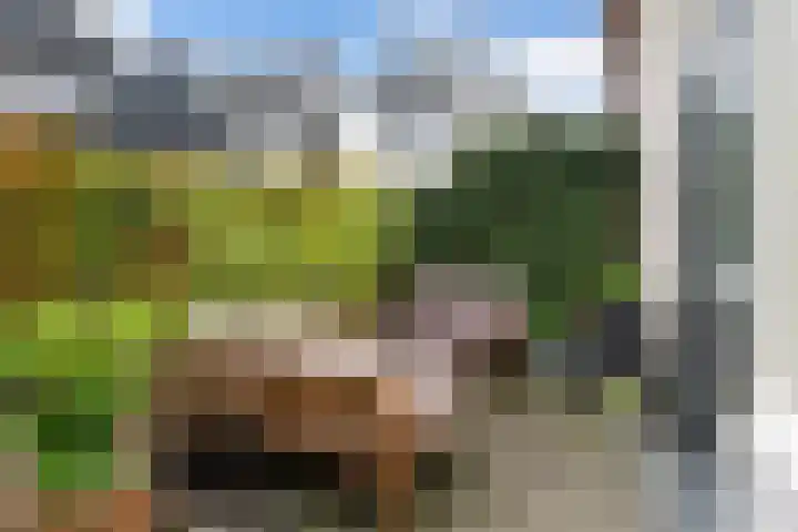 Van Teylingenweg 44 Kamerik thumbnail 22