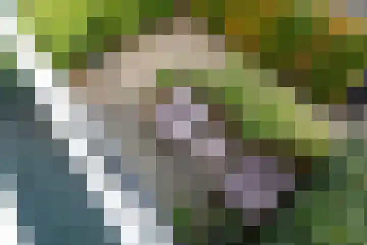 Van Teylingenweg 44 Kamerik thumbnail 24