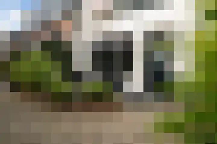 Van Teylingenweg 44 Kamerik thumbnail 25
