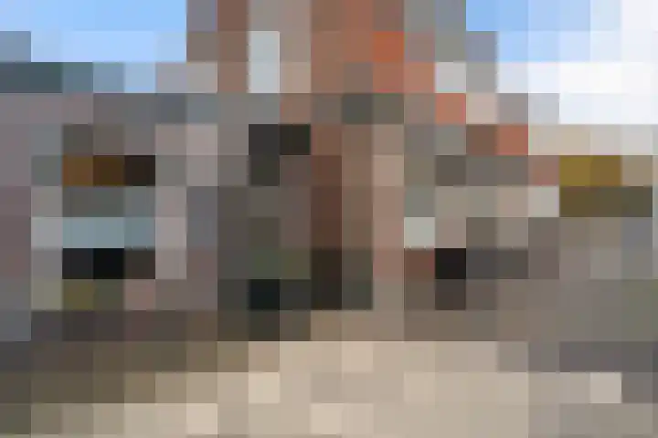 Van Teylingenweg 44 Kamerik thumbnail 48