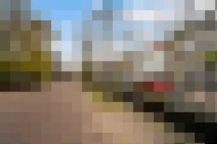 Van Teylingenweg 44 Kamerik thumbnail 51