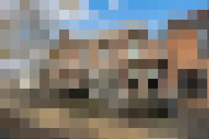 Van Teylingenweg 44 Kamerik thumbnail 54