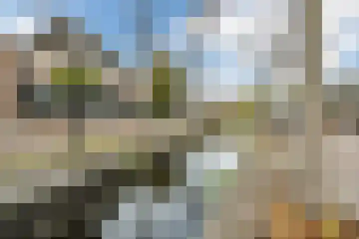 Van Teylingenweg 60 Kamerik thumbnail 36