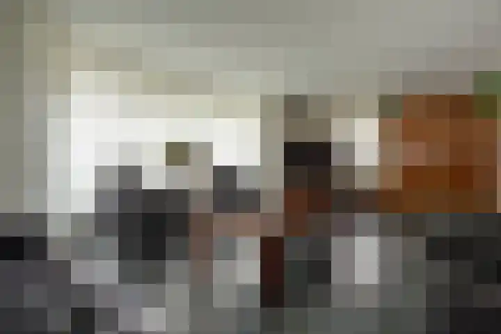 Van Thielenhof 17 Rossum thumbnail 14