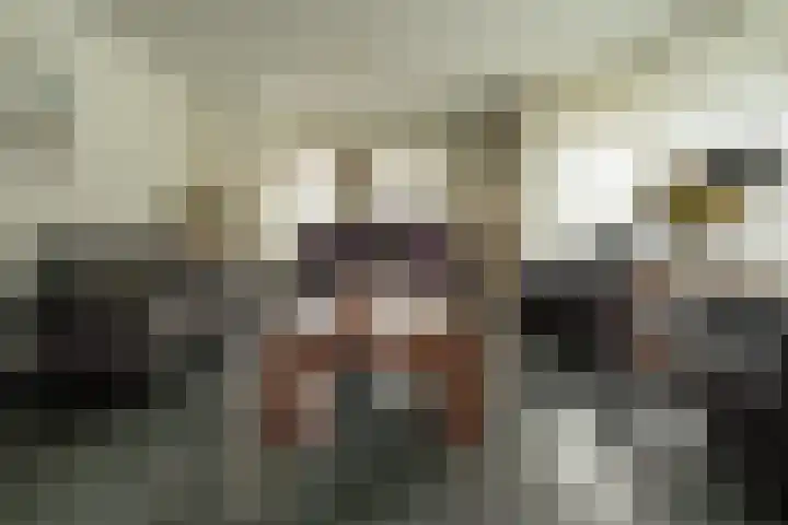 Van Thielenhof 17 Rossum thumbnail 15