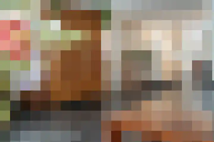 Van Thielenhof 17 Rossum thumbnail 16