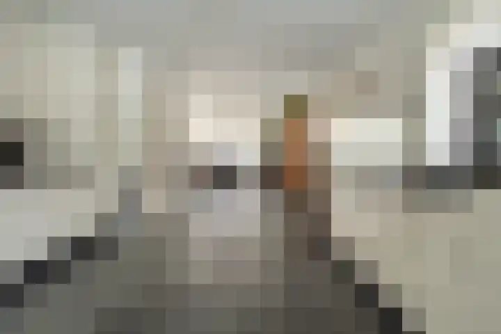 Van Thielenhof 17 Rossum thumbnail 17