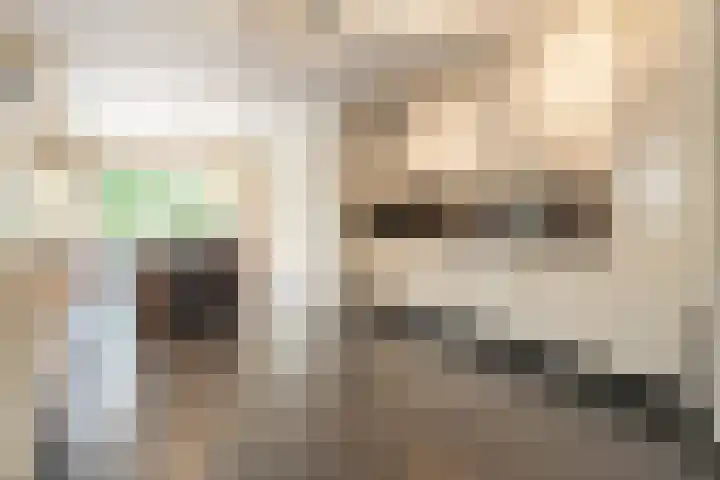 Van Thielenhof 17 Rossum thumbnail 18