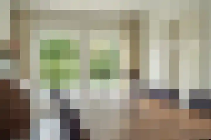 Van Thielenhof 17 Rossum thumbnail 23