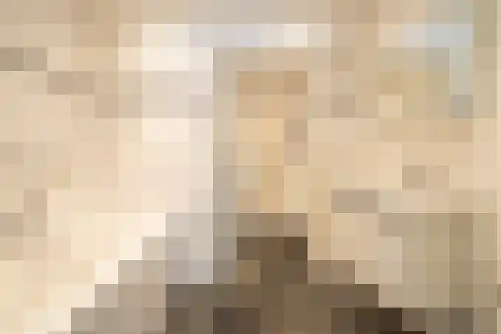 Van Thielenhof 17 Rossum thumbnail 29