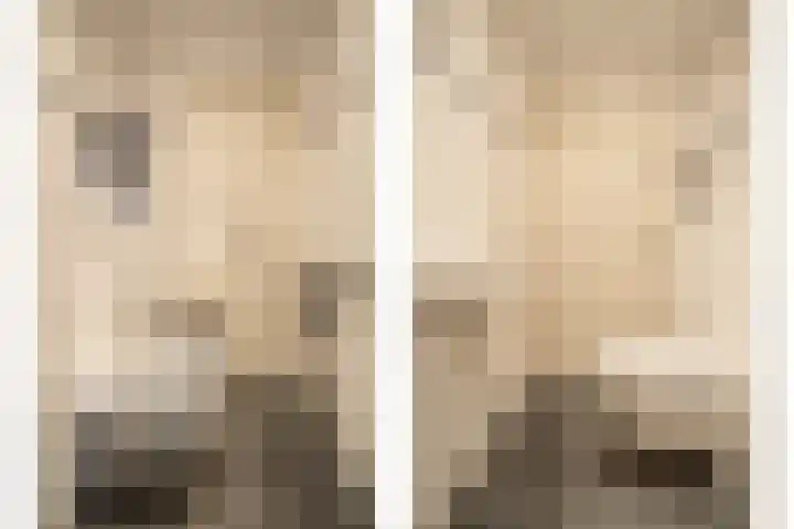 Van Thielenhof 17 Rossum thumbnail 31