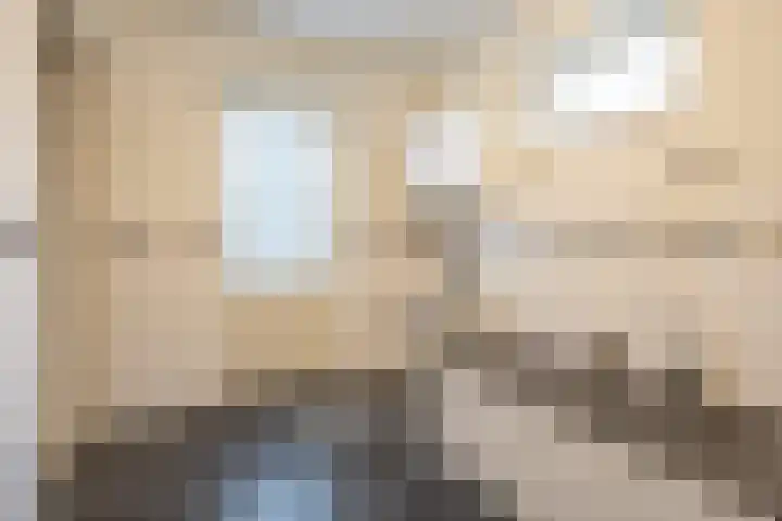 Van Thielenhof 17 Rossum thumbnail 34