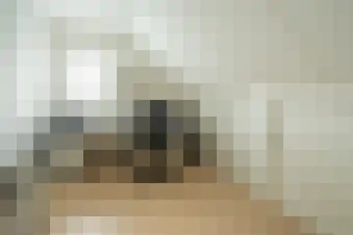 Van Thielenhof 17 Rossum thumbnail 40