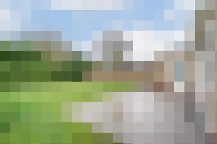Van Thielenhof 17 Rossum thumbnail 45