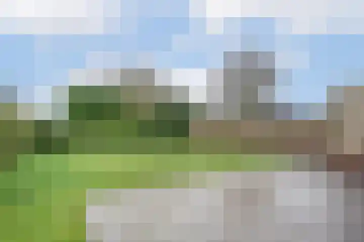 Van Thielenhof 17 Rossum thumbnail 46