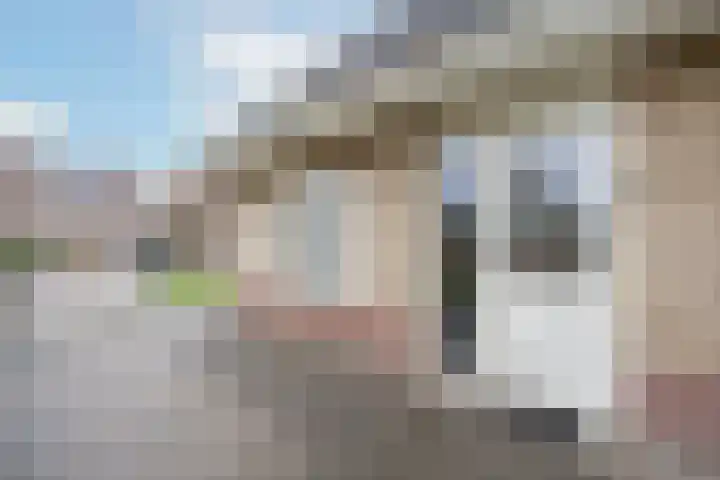 Van Thielenhof 17 Rossum thumbnail 6
