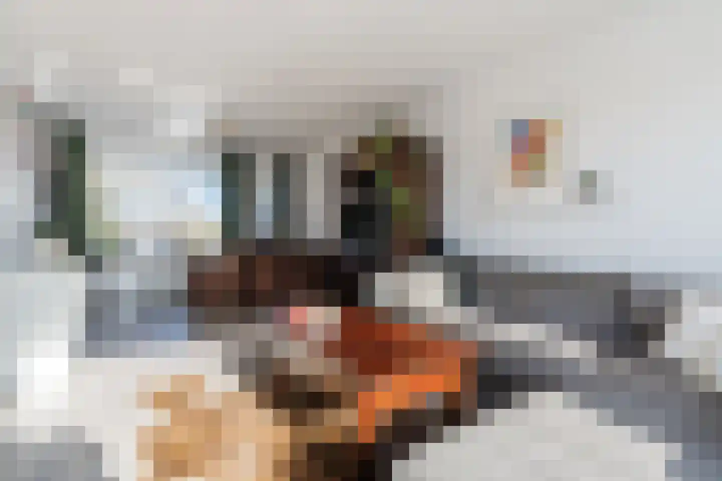 van Thienenlaan 3 Eindhoven thumbnail 15