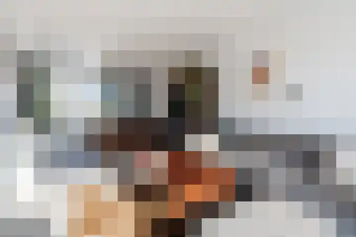 van Thienenlaan 3 Eindhoven thumbnail 15