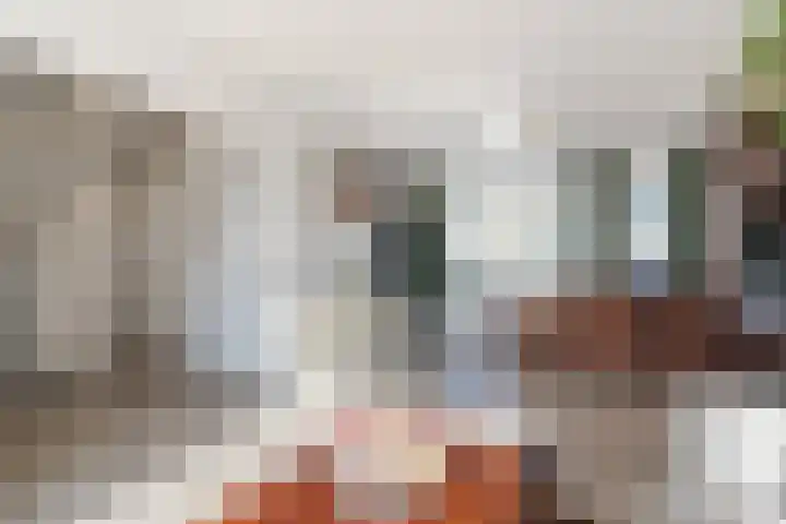 van Thienenlaan 3 Eindhoven thumbnail 16