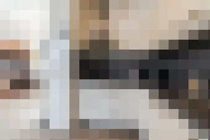 van Thienenlaan 3 Eindhoven thumbnail 21