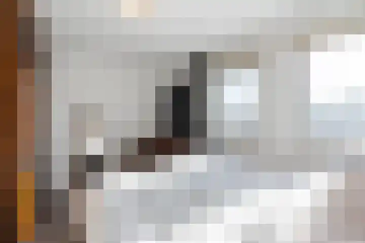 van Thienenlaan 3 Eindhoven thumbnail 23
