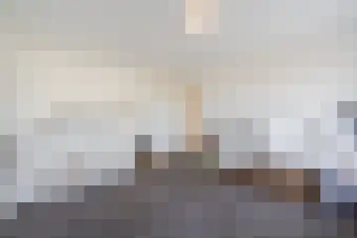 van Thienenlaan 3 Eindhoven thumbnail 27