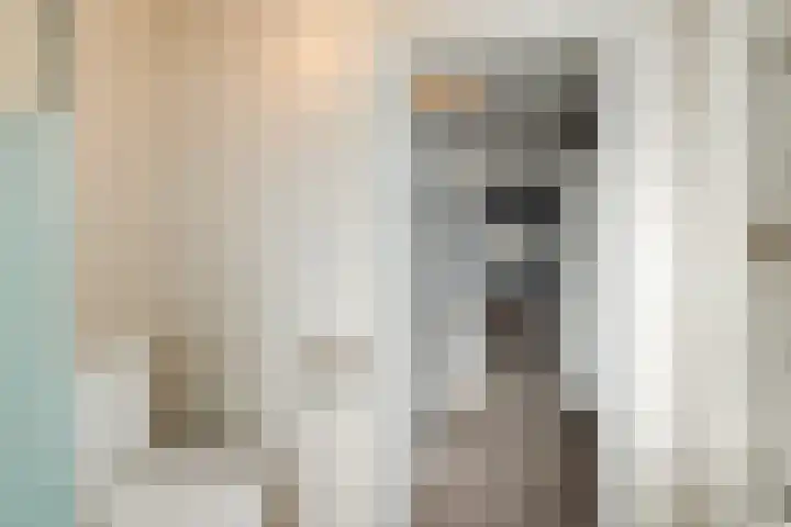 van Thienenlaan 3 Eindhoven thumbnail 29